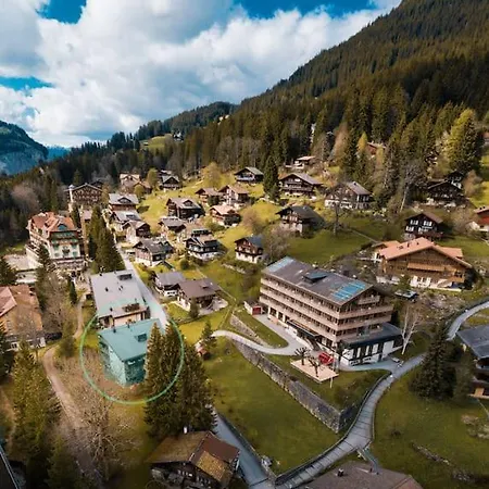 Copy * Wengen